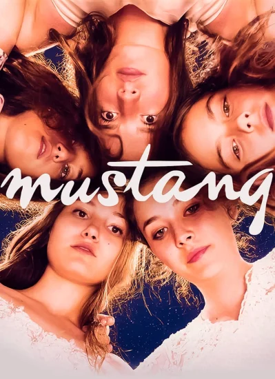 فيلم الحصان البري